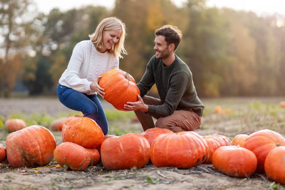 Fall Date Ideas: 20 Ways to Celebrate Autumn near Concord's